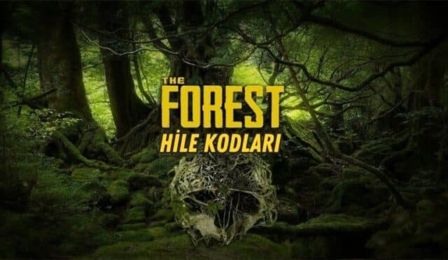 the forest hile kodları
